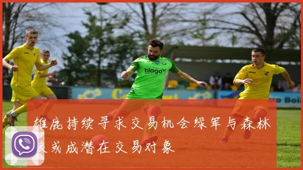 雄鹿持续寻求交易机会绿军与森林狼或成潜在交易对象