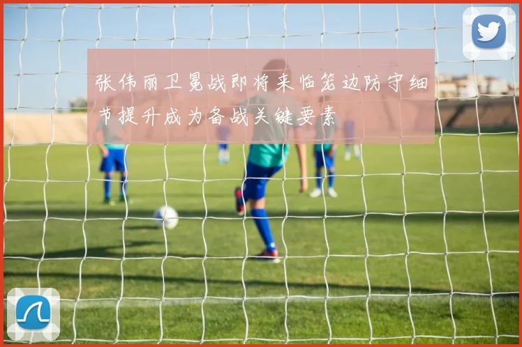 张伟丽卫冕战即将来临笼边防守细节提升成为备战关键要素