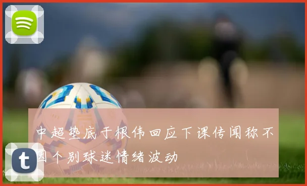 中超垫底于根伟回应下课传闻称不因个别球迷情绪波动